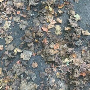 Meet your Posher, Christy